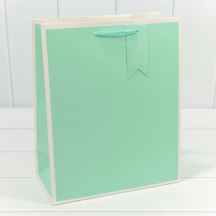 000169C Пакет подарочный Однотонный в рамке (микс) 26*32*13 210г 1/20 1/240