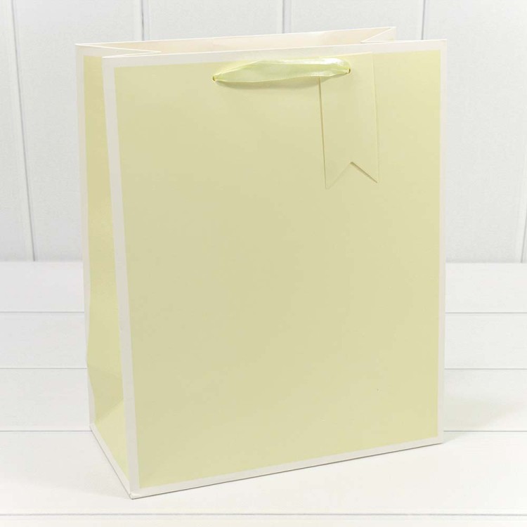 000169C Пакет подарочный Однотонный в рамке (микс) 26*32*13 210г 1/20 1/240