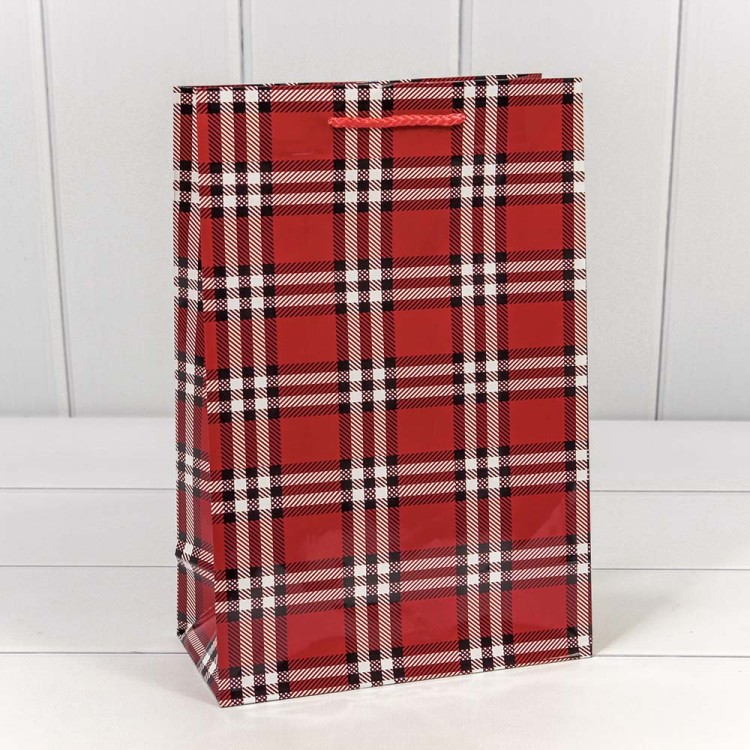 00038K Пакет подарочный "Клетки и полоски" (микс) 20*30*10 128г 1/20 1/360