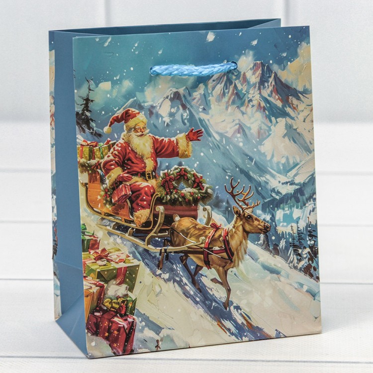 300431H Пакет подарочный "Новый год" (микс 431) 12*15*6,7 128г 1/20 1/600