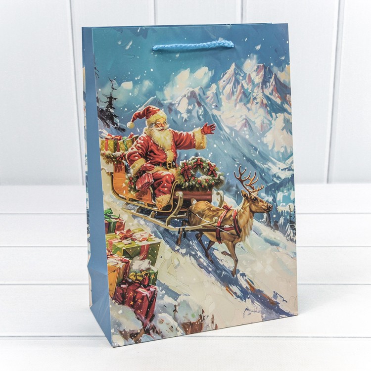 300431K Пакет подарочный "Новый год" (микс 431) 20*30*10 128г 1/20 1/360