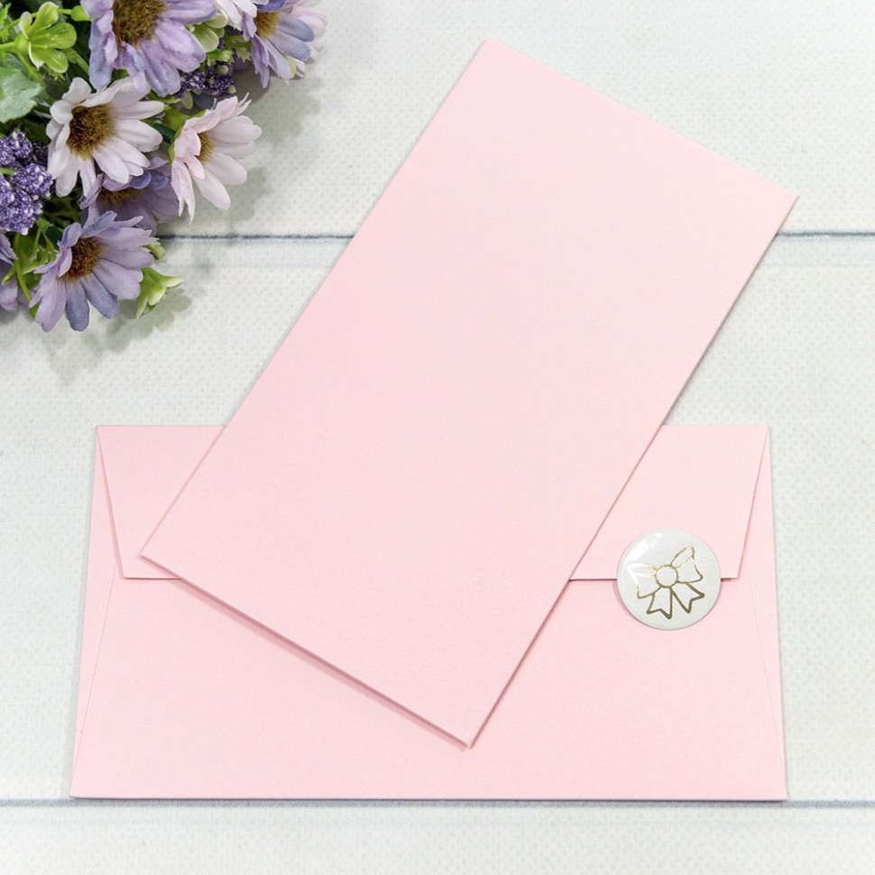 003010/5	Конверт подарочный 16,9*9,4см 1005 1/10 1/250