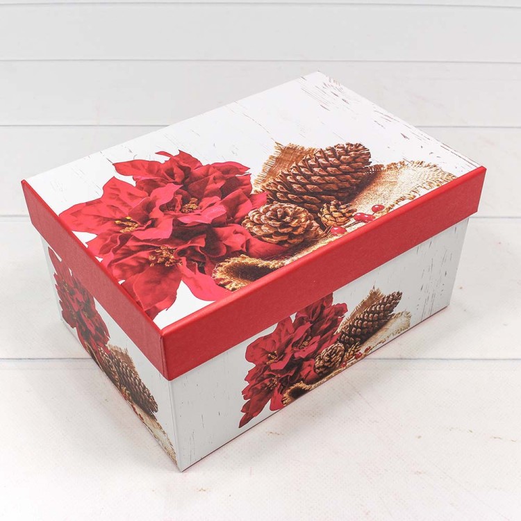 7303367/0480 Набор коробок 1/3 прямоугольный 22*15*11,5 см Шишки 1/36