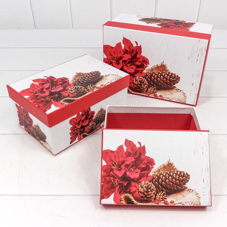 7303367/0480 Набор коробок 1/3 прямоугольный 22*15*11,5 см Шишки 1/36