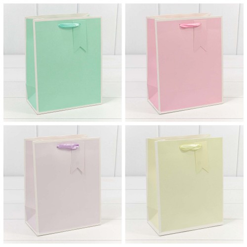 000169E Пакет подарочный Однотонный в рамке (микс) 18*23*10 210г 1/20 1/360