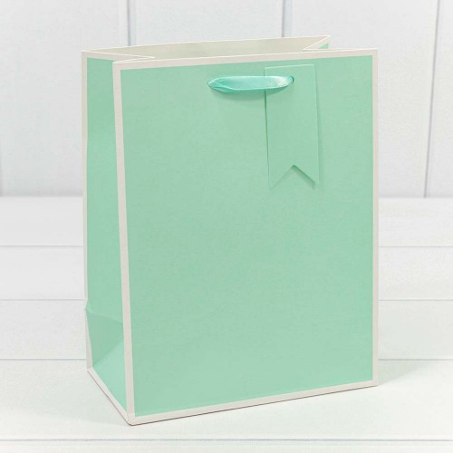 000169E Пакет подарочный Однотонный в рамке (микс) 18*23*10 210г 1/20 1/360