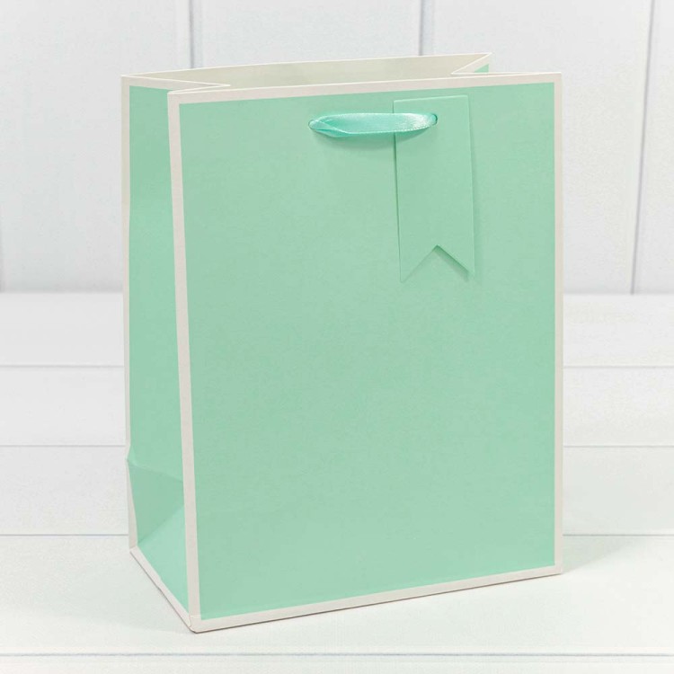 000169E Пакет подарочный Однотонный в рамке (микс) 18*23*10 210г 1/20 1/360