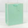 000169E Пакет подарочный Однотонный в рамке (микс) 18*23*10 210г 1/20 1/360 000169E Пакет подарочный Однотонный в рамке (микс) 18*23*10 210г 1/20 1/360