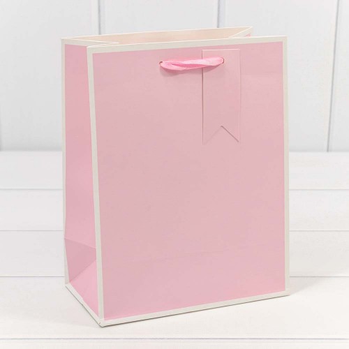 000169E Пакет подарочный Однотонный в рамке (микс) 18*23*10 210г 1/20 1/360