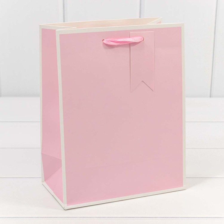 000169E Пакет подарочный Однотонный в рамке (микс) 18*23*10 210г 1/20 1/360