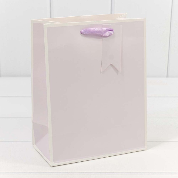 000169E Пакет подарочный Однотонный в рамке (микс) 18*23*10 210г 1/20 1/360