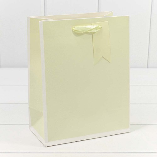 000169E Пакет подарочный Однотонный в рамке (микс) 18*23*10 210г 1/20 1/360