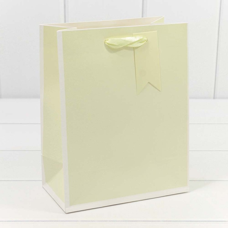 000169E Пакет подарочный Однотонный в рамке (микс) 18*23*10 210г 1/20 1/360