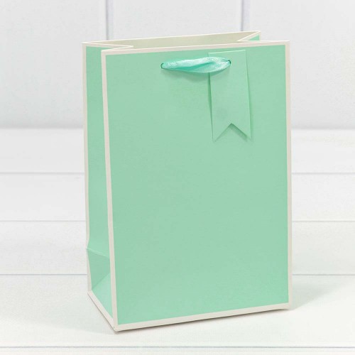 000169G Пакет подарочный Однотонный в рамке (микс) 14*20*7 210г 1/20 1/480