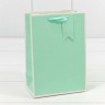 000169G Пакет подарочный Однотонный в рамке (микс) 14*20*7 210г 1/20 1/480 000169G Пакет подарочный Однотонный в рамке (микс) 14*20*7 210г 1/20 1/480