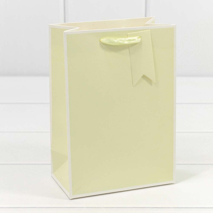 000169G Пакет подарочный Однотонный в рамке (микс) 14*20*7 210г 1/20 1/480