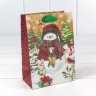 300367G Пакет подарочный крафт "Новогодний" (микс) 14*20*8 см 1/20 1/600 300367G Пакет подарочный крафт "Новогодний" (микс) 14*20*8 см 1/20 1/600