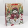 300367C Пакет подарочный крафт "Новогодний" (микс) 26*32*10 см 1/20 1/360 300367C Пакет подарочный крафт "Новогодний" (микс) 26*32*10 см 1/20 1/360