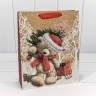 300367C Пакет подарочный крафт "Новогодний" (микс) 26*32*10 см 1/20 1/360 300367C Пакет подарочный крафт "Новогодний" (микс) 26*32*10 см 1/20 1/360