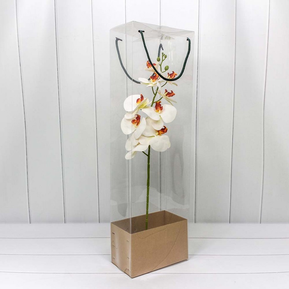 Цветок Орхидеи В Коробочке Купить В Спб
