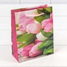 00019H Пакет подарочный "Цветы" 128г/м2 12*15*5,5 см (микс) 1/20 1/600 00019H Пакет подарочный "Цветы" 128г/м2 12*15*5,5 см (микс) 1/20 1/600