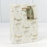 300382G Пакет подарочный с тиснением "Новый год" (микс) 14*20*8 210г 1/20 1/480 300382G Пакет подарочный с тиснением "Новый год" (микс) 14*20*8 210г 1/20 1/480