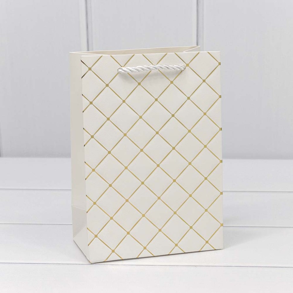 000391G/1 Пакет подарочный "Ромб" Белый 14*20*8 210г 1/20 1/480 000391G/1 Пакет подарочный "Ромб" Белый 14*20*8 210г 1/20 1/480
