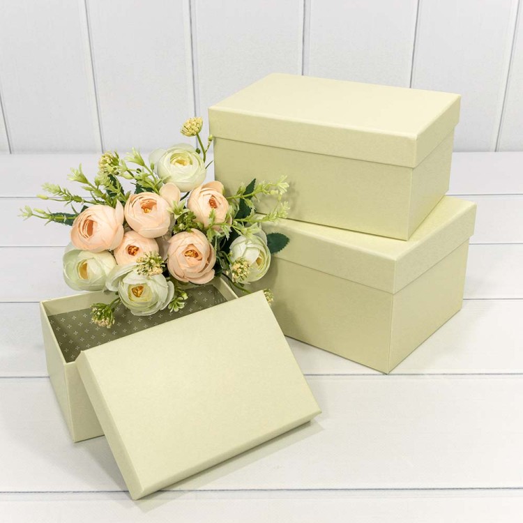 7213367/1900 Коробки Прямоугольные Набор 1/3 22*15*11,5 Бежевый 1/24