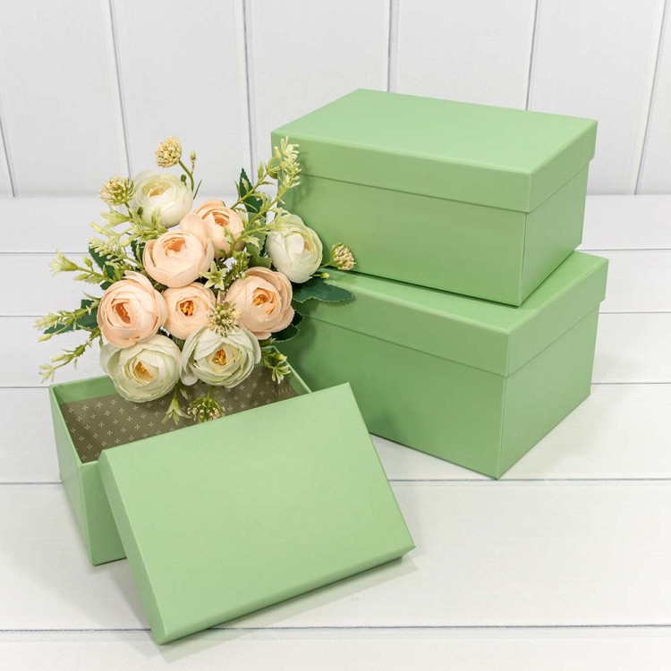 7213367/1905 Коробки Прямоугольные Набор 1/3 22*15*11,5 Бледно-зелёный 1/24