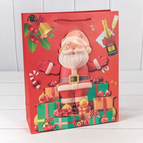 300422C Пакет подарочный "Новый год" (микс 422) 26*32*10 210г 1/20 1/240