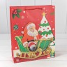 300422C Пакет подарочный "Новый год" (микс 422) 26*32*10 210г 1/20 1/240