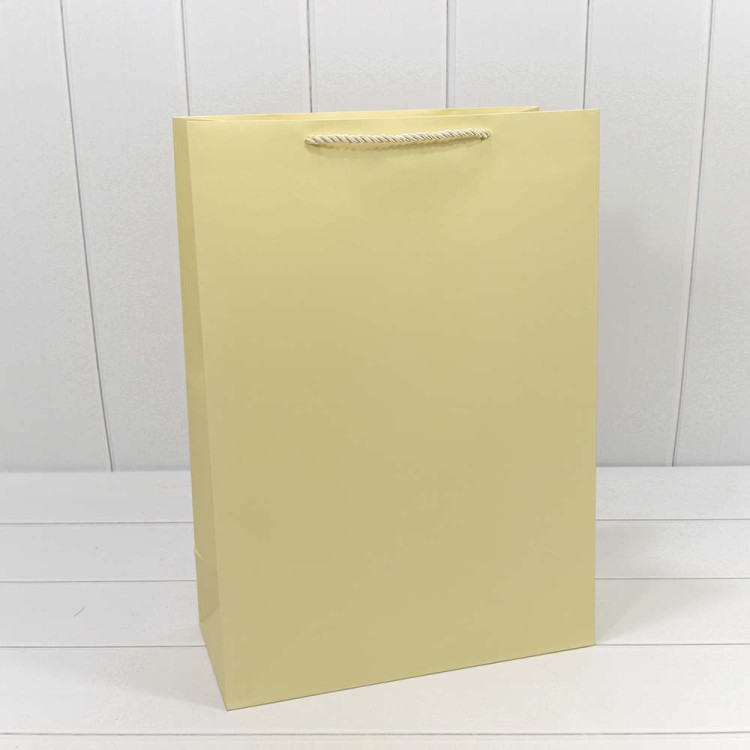 300480A/5 Пакет подарочный "Фактура" Бежевый 32*45*15 210г 1/20 1/120