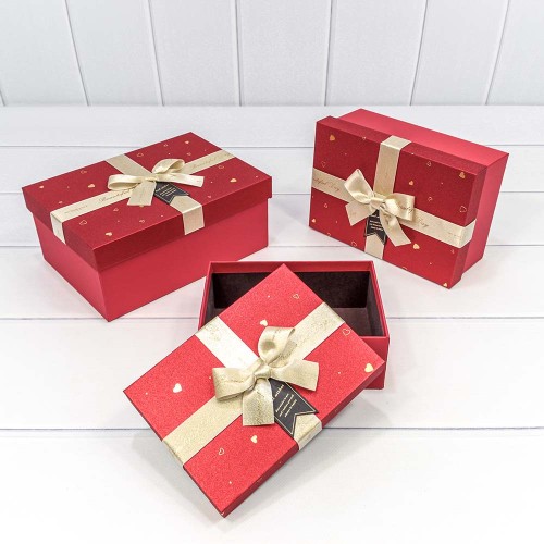 721913 Коробки Прямоугольные Набор 1/3 22,5*16*9,5 "Beautiful Day" Красный 1/20