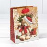 300367H Пакет подарочный крафт "Новогодний" (микс) 12*15*6,7 см 1/20 1/600 300367H Пакет подарочный крафт "Новогодний" (микс) 12*15*6,7 см 1/20 1/600