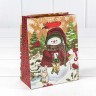 300367H Пакет подарочный крафт "Новогодний" (микс) 12*15*6,7 см 1/20 1/600 300367H Пакет подарочный крафт "Новогодний" (микс) 12*15*6,7 см 1/20 1/600