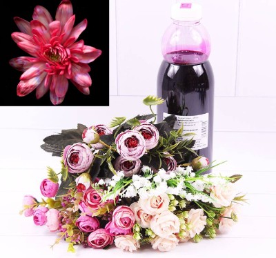 1400009 Краска для живых цветов Красная 1 л 1/1