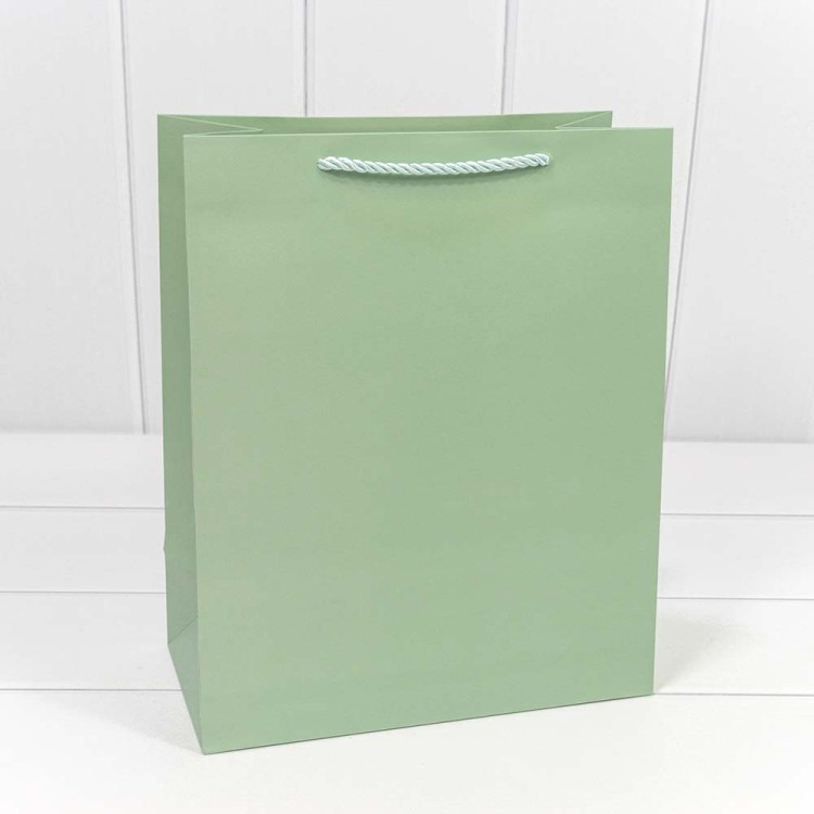 300480C/8 Пакет подарочный "Фактура" Бледно-зелёный 26*32*13 210г 1/20 1/240