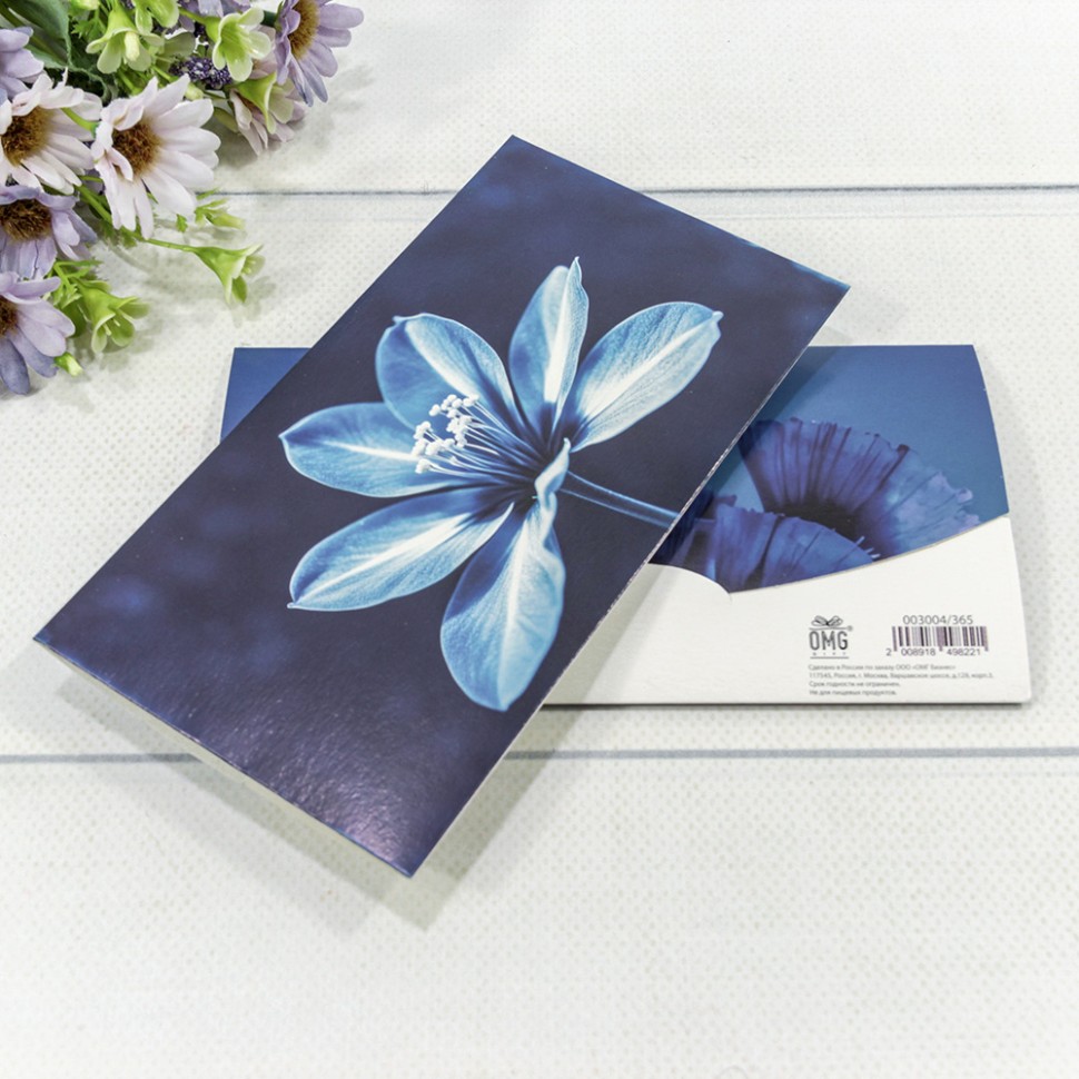 003004/365 Конверт подарочный 16,5*9см 365 1/10 1/250 