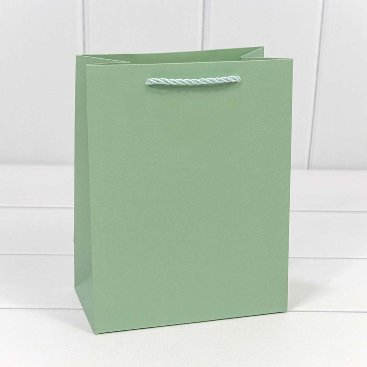 300480E/8 Пакет подарочный "Фактура" Бледно-зелёный 18*23*10 210г 1/20 1/360